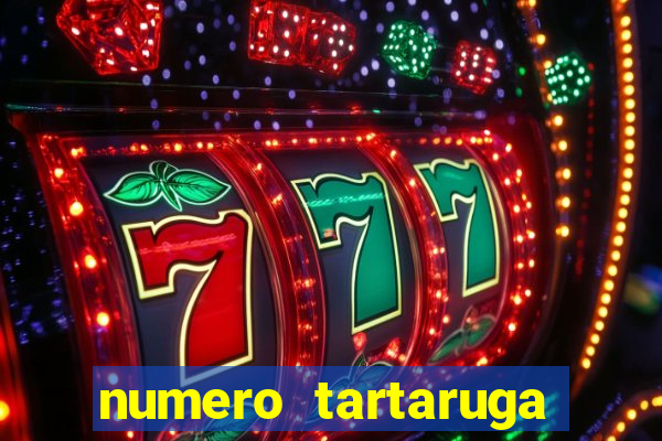 numero tartaruga jogo do bicho